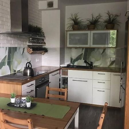 Apartment In Green Area Вроцлав Екстер'єр фото